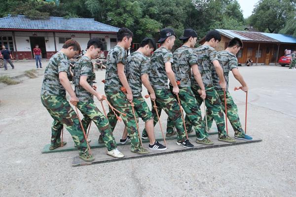 拓展训练未来发展趋势